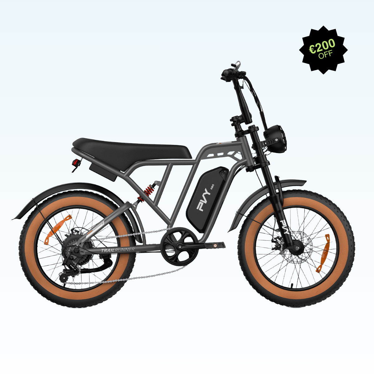PVY A20（引用）
